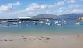 Contaminación na praia de Lingunde