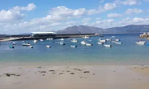 Verquidos na praia. Imaxe 2014