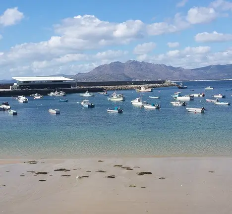 Verquidos na praia. Imaxe 2014