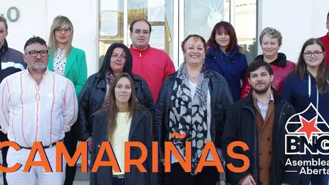 Ilva Carril coa candidatura nas Municipais 2015 (2)