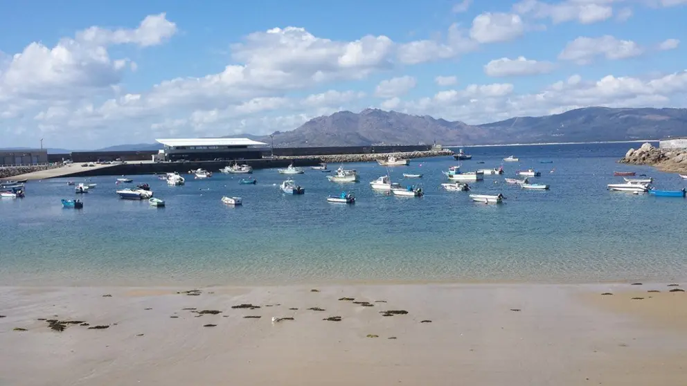 Verquidos na praia. Imaxe 2014
